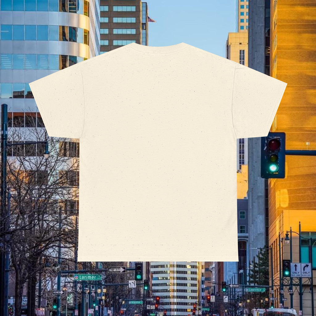 Compass Front Great State of Colorado mountain design T-Shirt | Colorado flag sun emblem