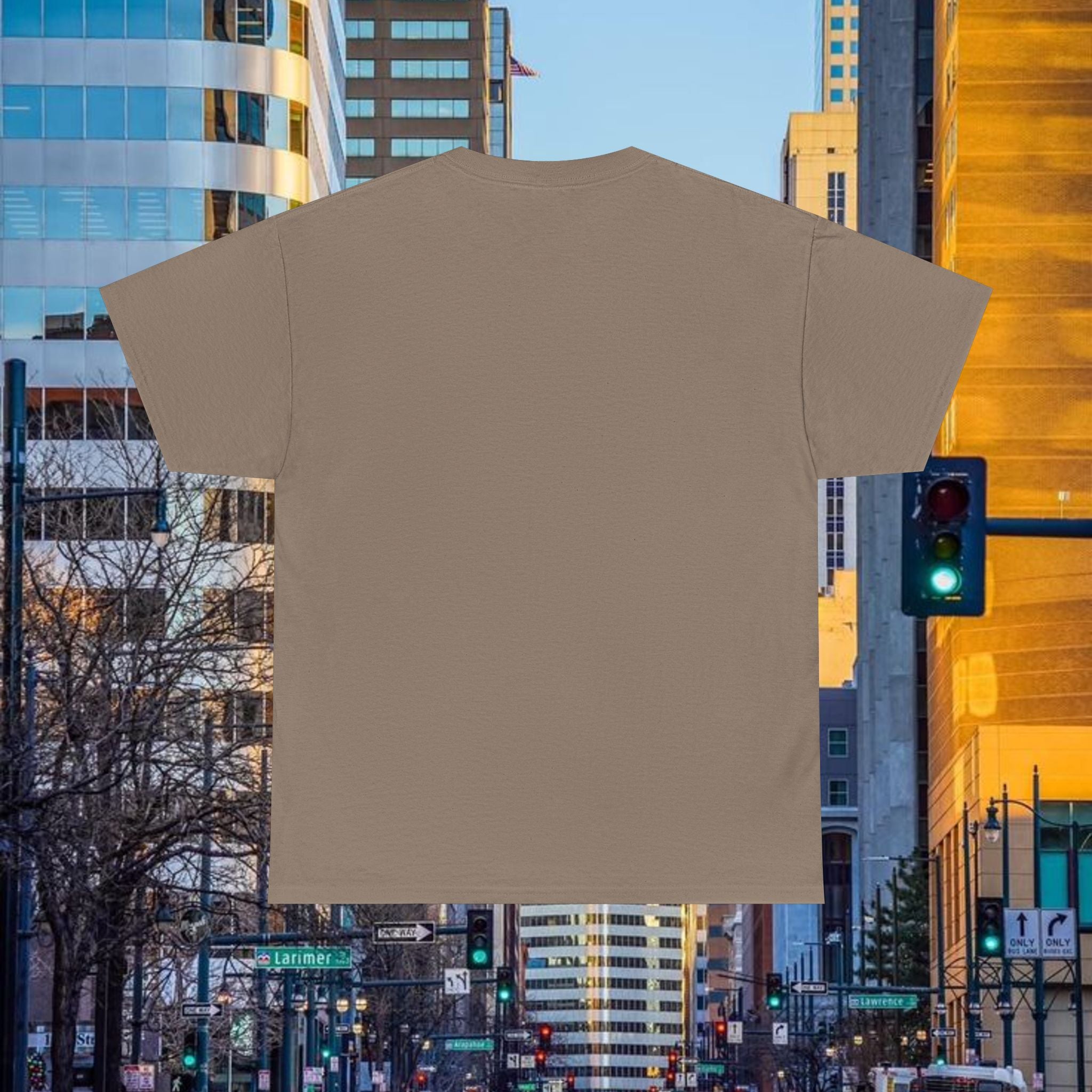 Compass Front Great State of Colorado mountain design T-Shirt | Colorado flag sun emblem