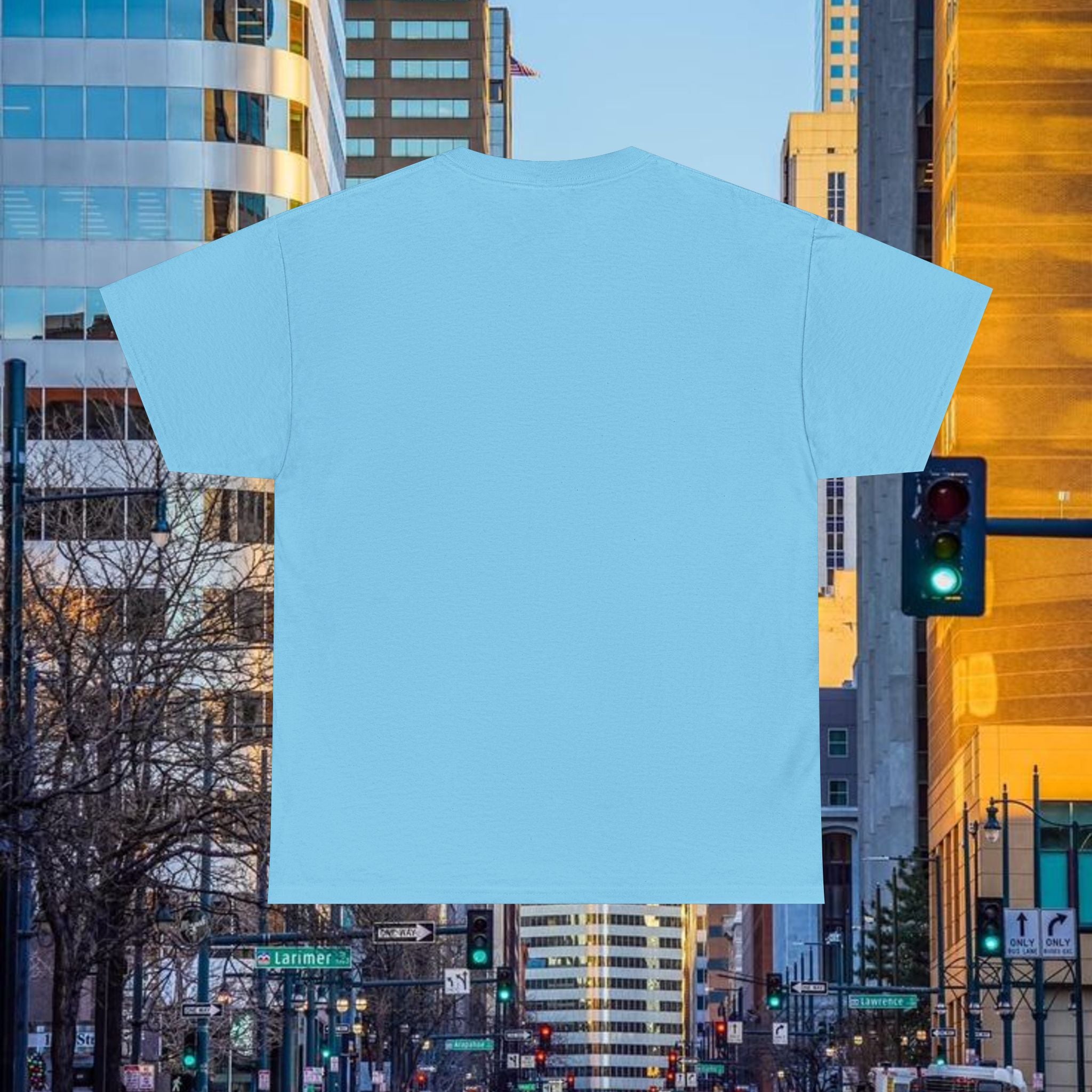 Compass Front Great State of Colorado mountain design T-Shirt | Colorado flag sun emblem