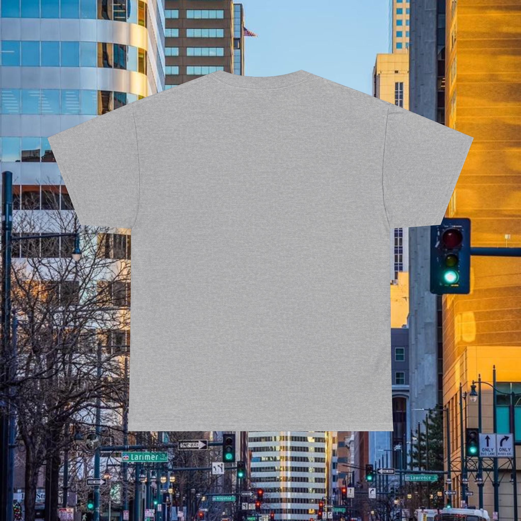 Compass Front Great State of Colorado mountain design T-Shirt | Colorado flag sun emblem