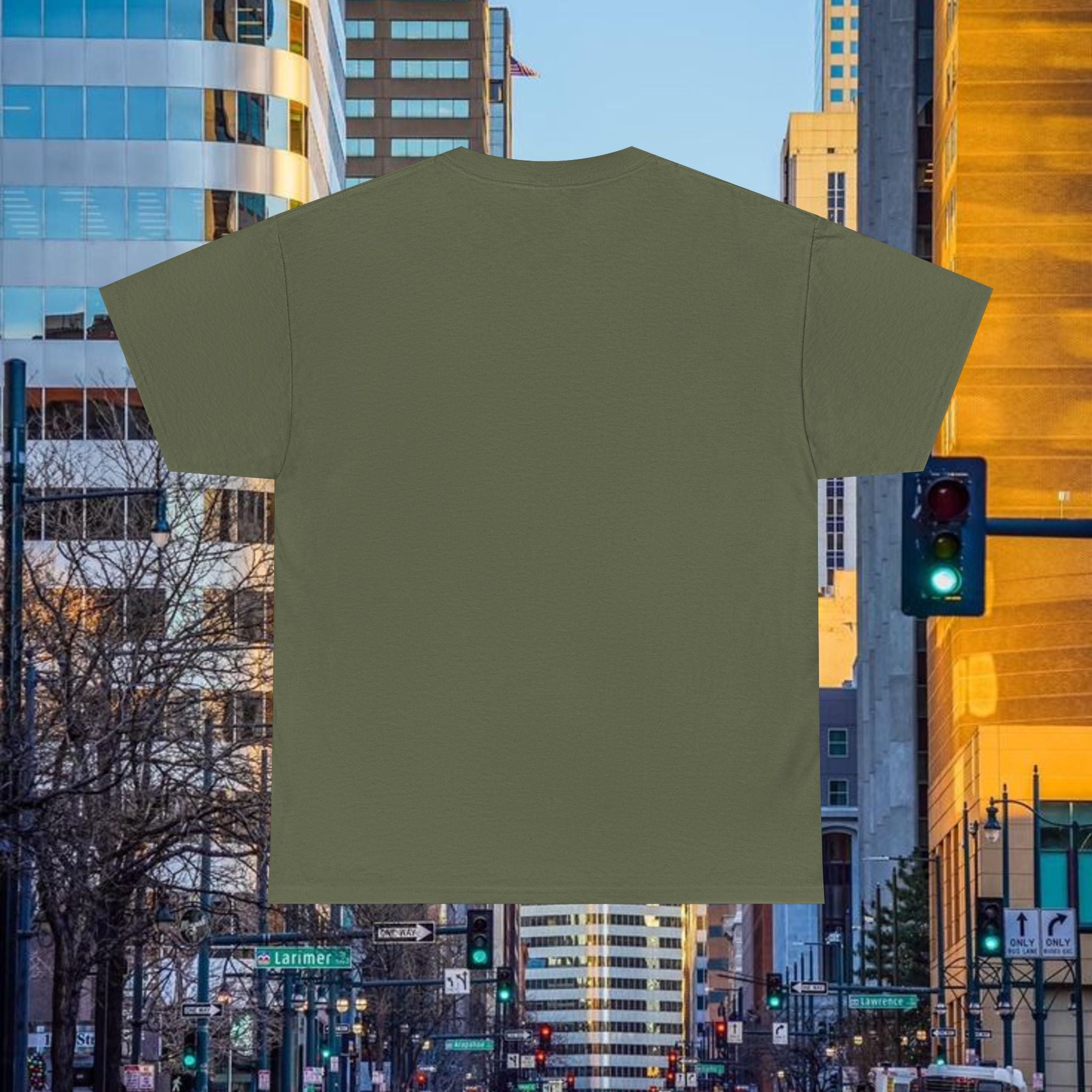 Compass Front Great State of Colorado mountain design T-Shirt | Colorado flag sun emblem